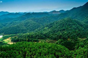 江西省林业产业迈入全国第一方阵