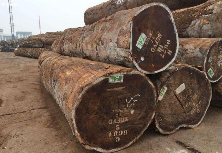 加蓬林业部没收了约8000立方米红花梨原木等非法的原木