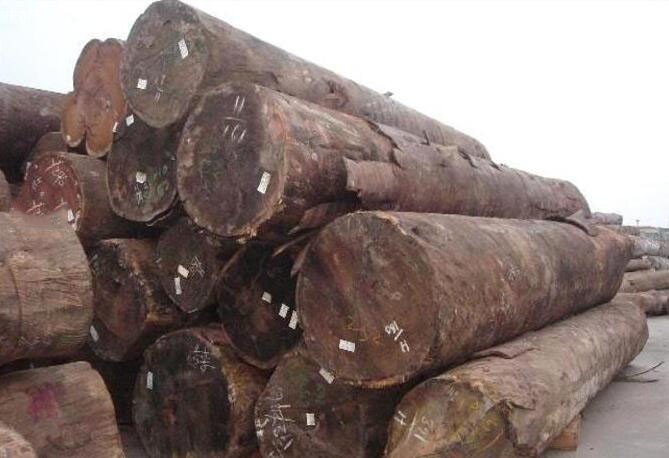 代德苏木是什么木材?是非洲黑檀木吗图片