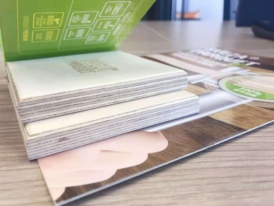 俄罗斯进口桦木多层胶合板,桦木多层板,桦木夹板厂家图2