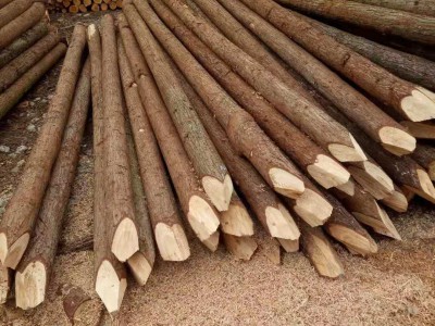 专业批发4米杉木桩价格质优价廉图6