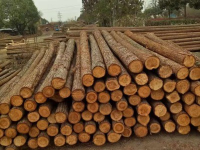 专业批发4米杉木桩价格质优价廉图5