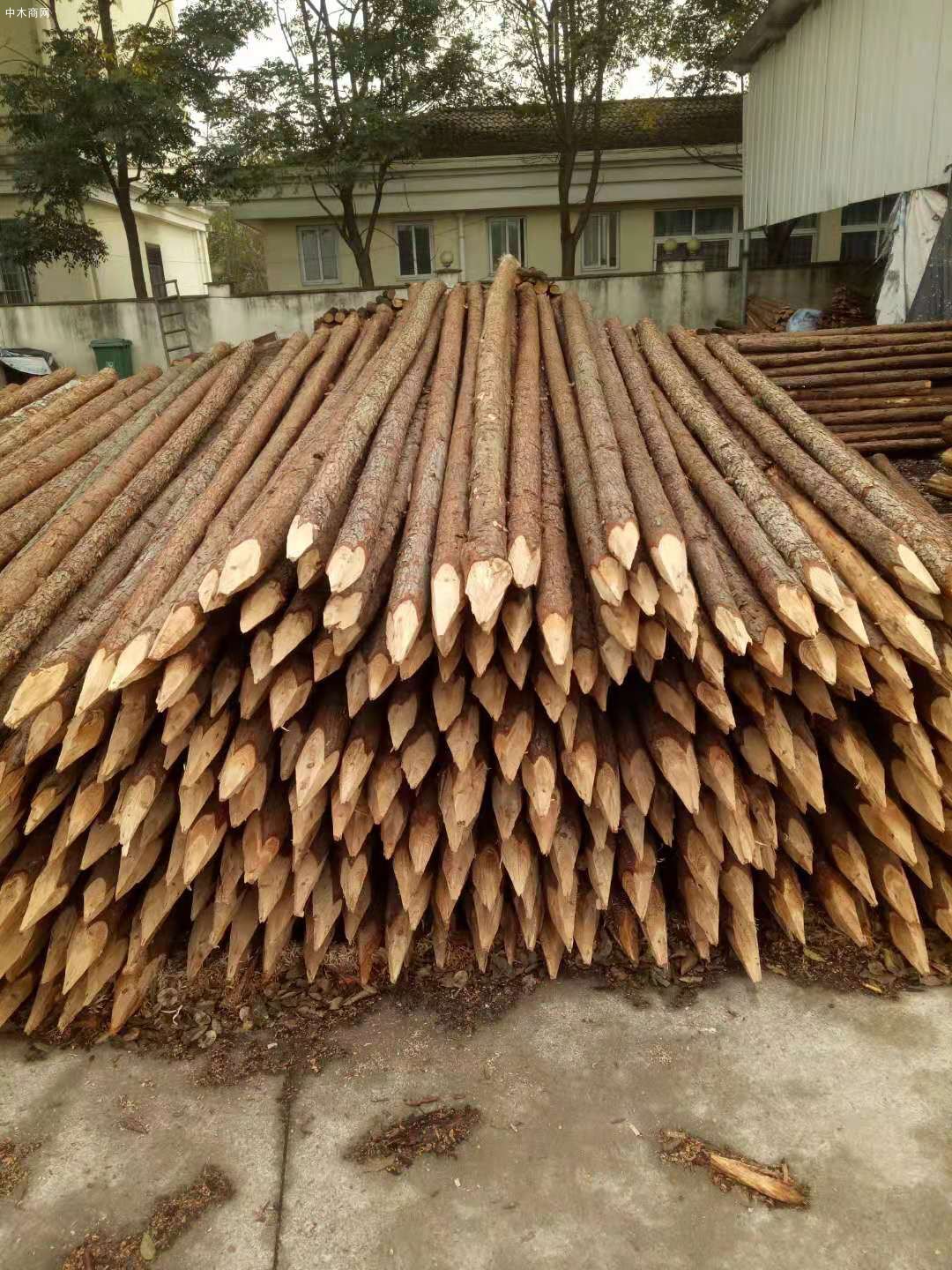 宜城盛平木业上海杉木桩杉木杆高清图片厂家