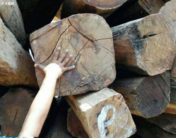缅甸自然资源与环保部宣布:进一步提升木材出口贸易的便利性