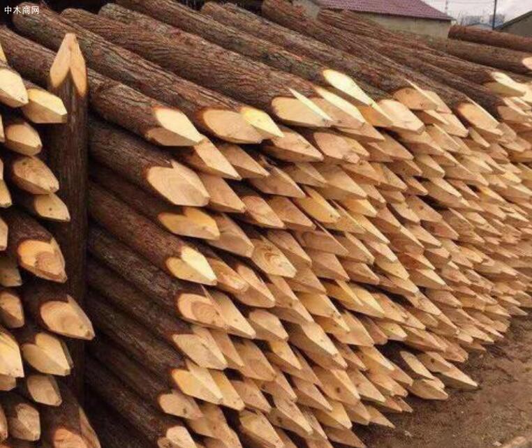 上海盛平杉木桩施工打桩怎么打