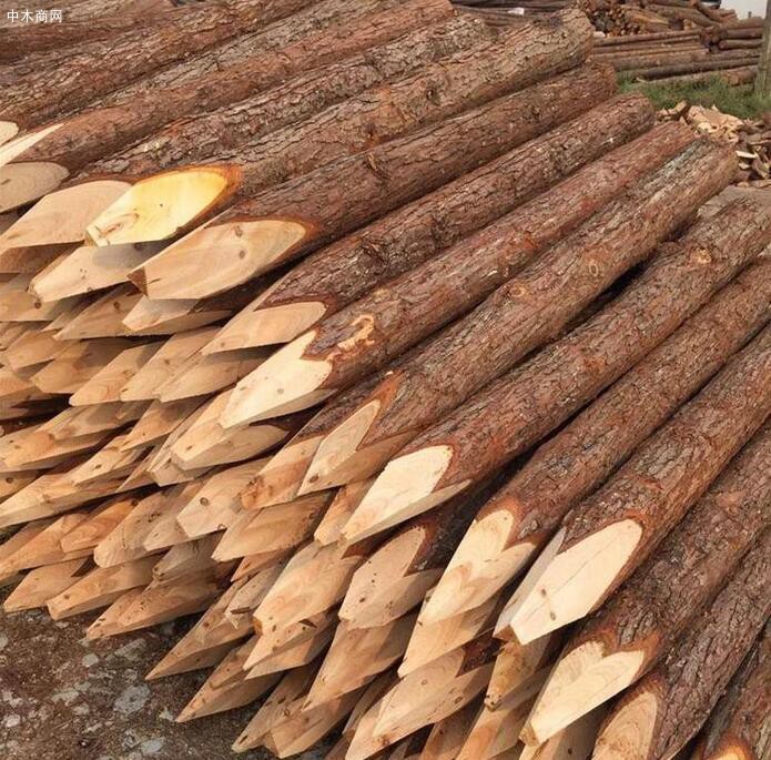 上海盛平杉木桩施工打桩怎么打批发