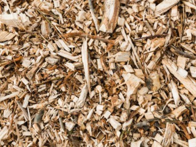 求购：硬杂木木片粉碎做颗粒的图1