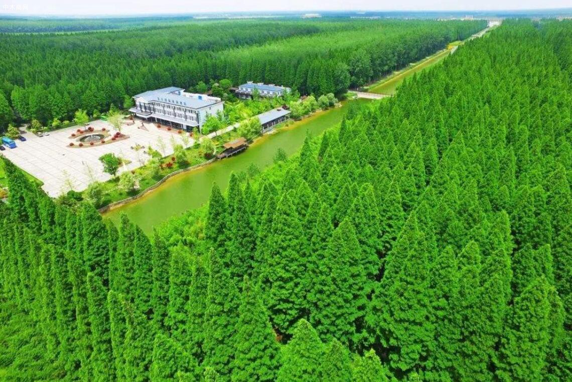 黑龙江重点国有林区有林地5年增加39万公顷