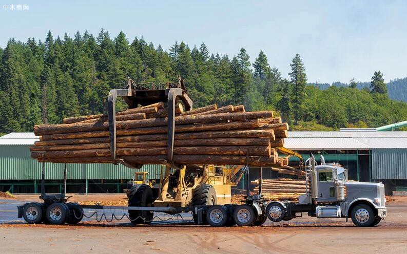 疫情下的美国木材贸易市场图片