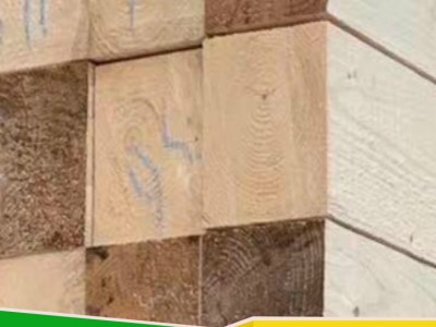 太仓木业工地用料建筑木材,工程木方加工优质白松spf图3