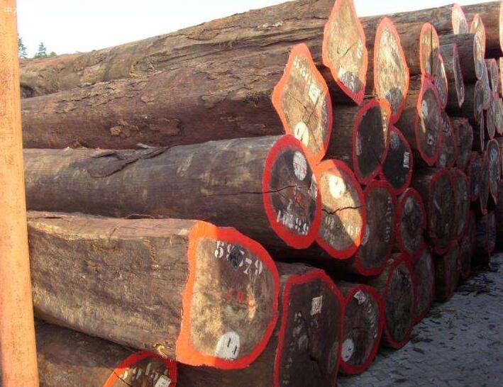 乌干达对木材能源的需求量将翻倍