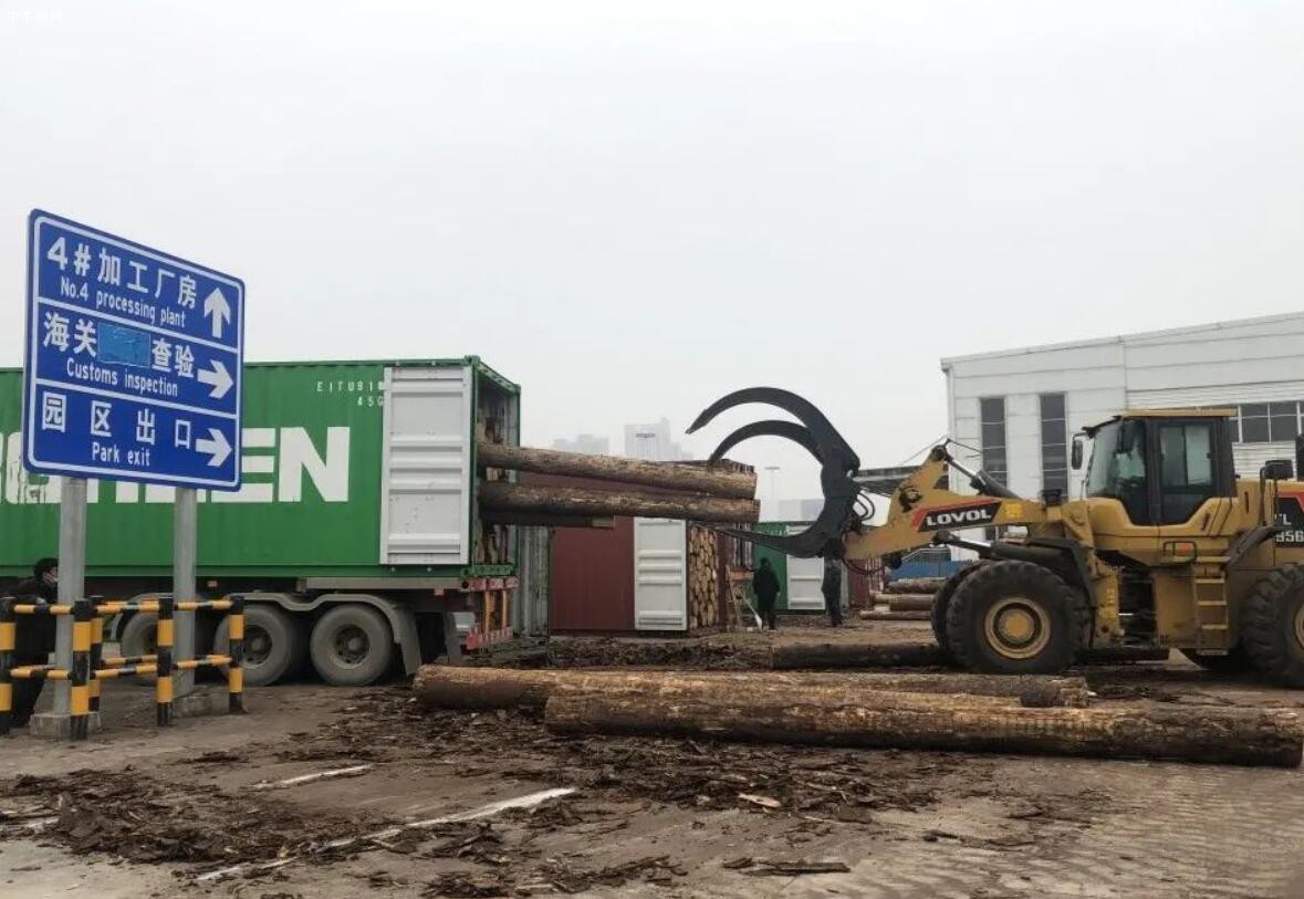 武汉首家进口木材保税加工入驻阳逻港园区