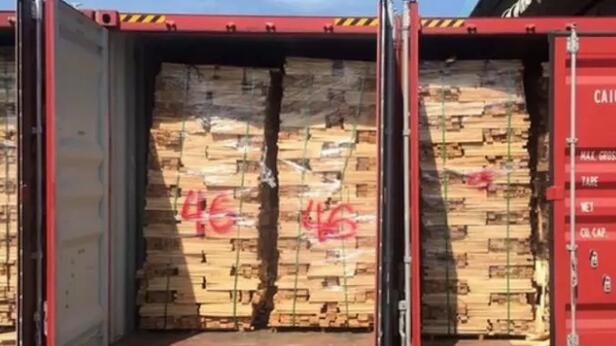 越南：超100柜走私木材集装箱被查获