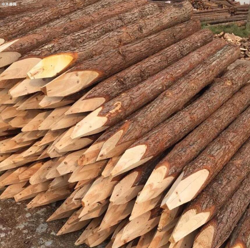 杉木桩与松木桩什么区别及哪个好