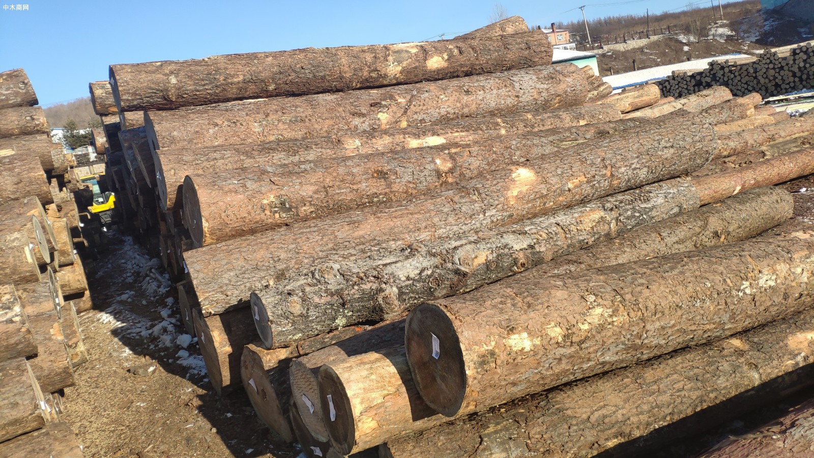 俄罗斯原木紧缺,国内市场俄材库存正在进一步减少