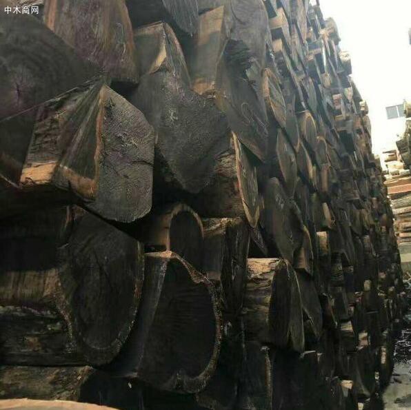 非洲硬木原木价格行情