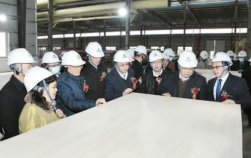 我国首条自动化胶合板生产线在广西百色竣工投产