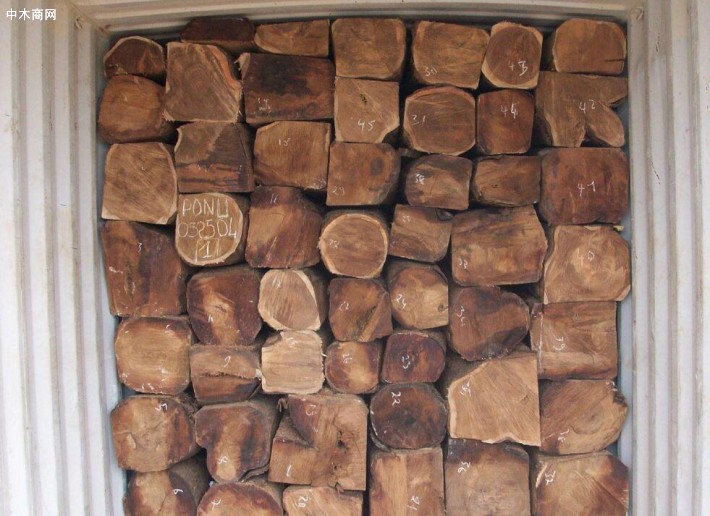 近期刺猬紫檀原木材料市场仍有零散的市场交易