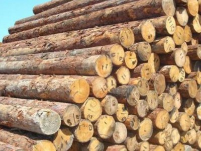 山东莘县鲁邹大托木业大量供应坑木原木板材,木条质优价廉