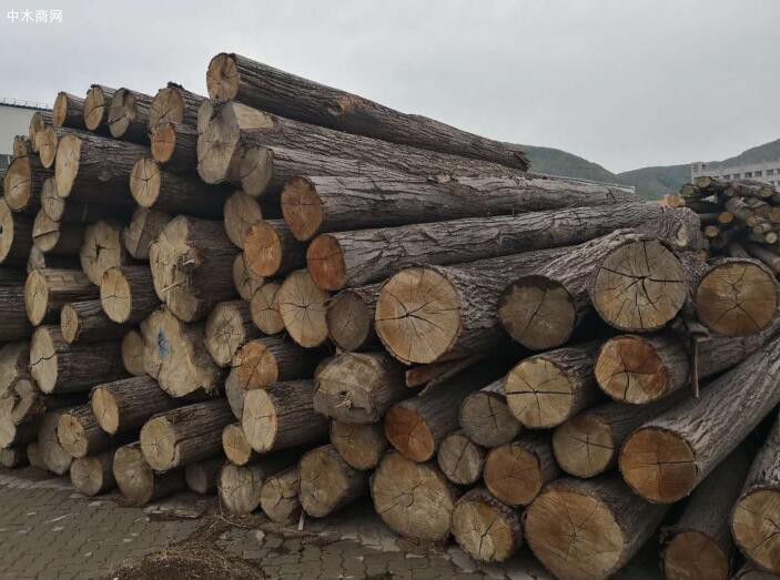 31家在罗马尼亚从事木材销售活动的公司因垄断被罚