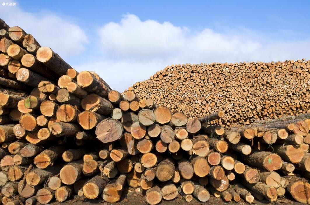 2020年度中国原木进口量为5975万立方米