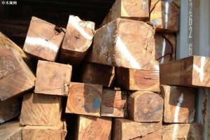 中高端木材未来增量可能性不大