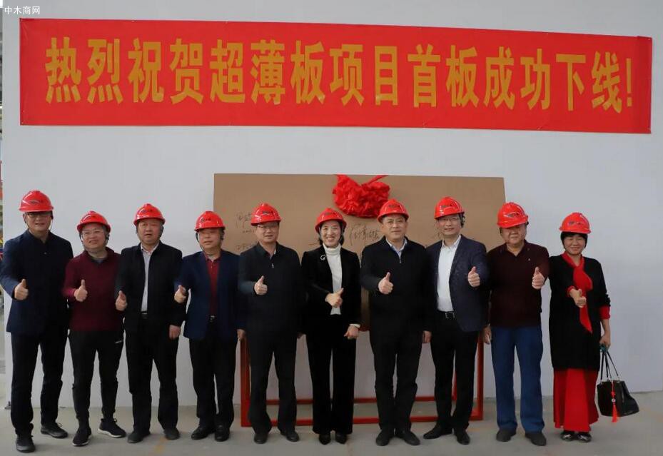 广西三威岑溪市人造板首张薄板成功下线图片