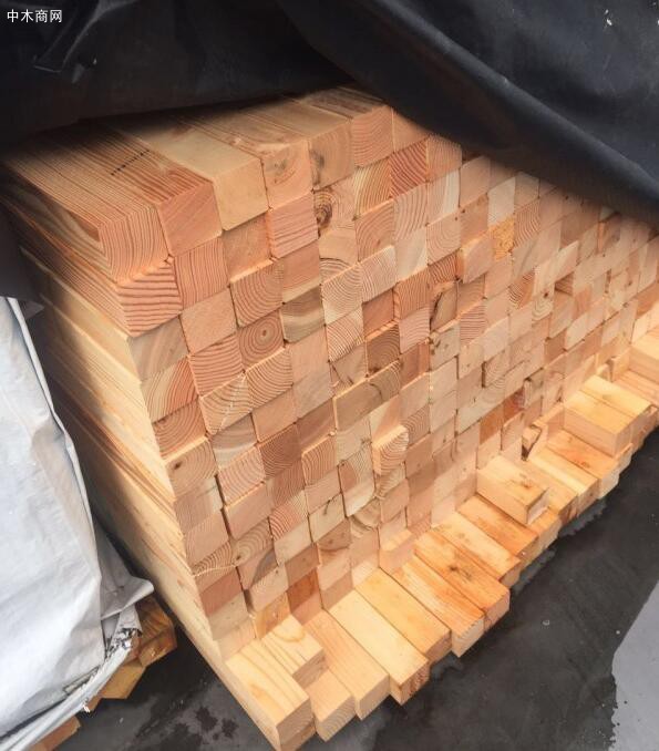 青岛无节樟子松实木板材国内品牌_森普国际木业