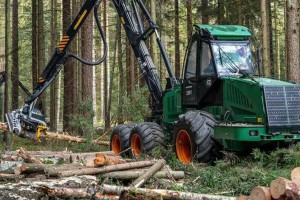 俄罗斯工业发展基金已提供超过130亿卢布贷款支持木材工业发展