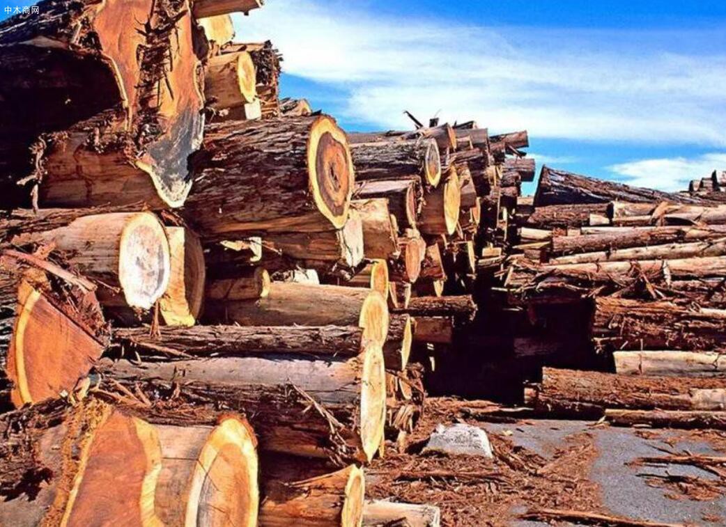 木材商家注意:北美港口拥堵加剧蔓延