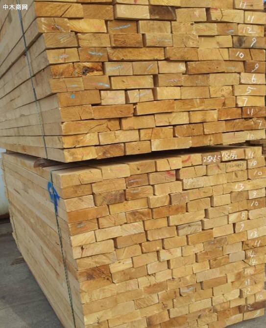 首次木材交易会白俄罗斯有超过1.1万立方米锯材销往中国