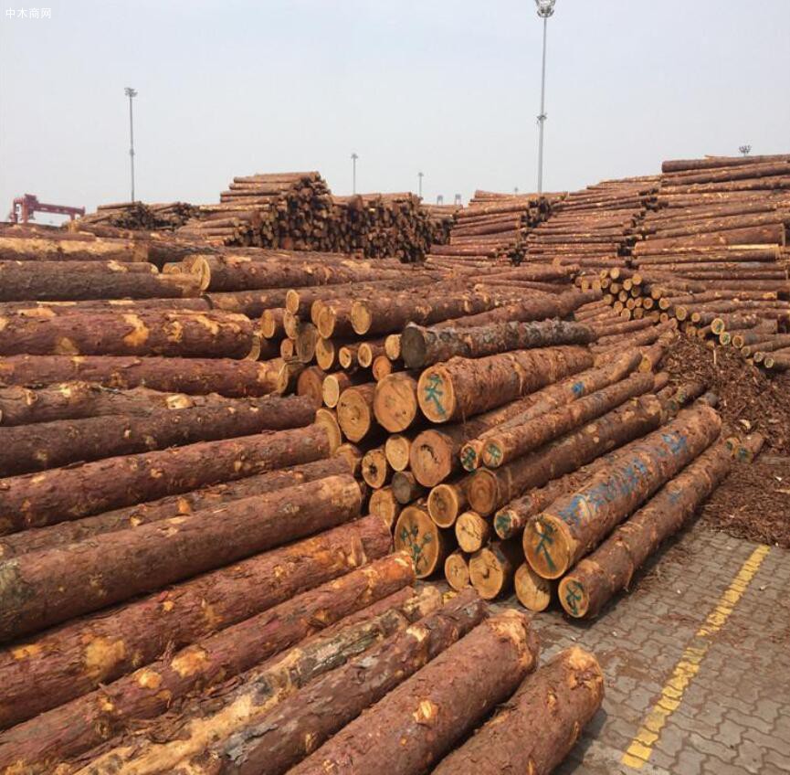 俄罗斯将完全禁止原木出口华商木材厂会怎样发展