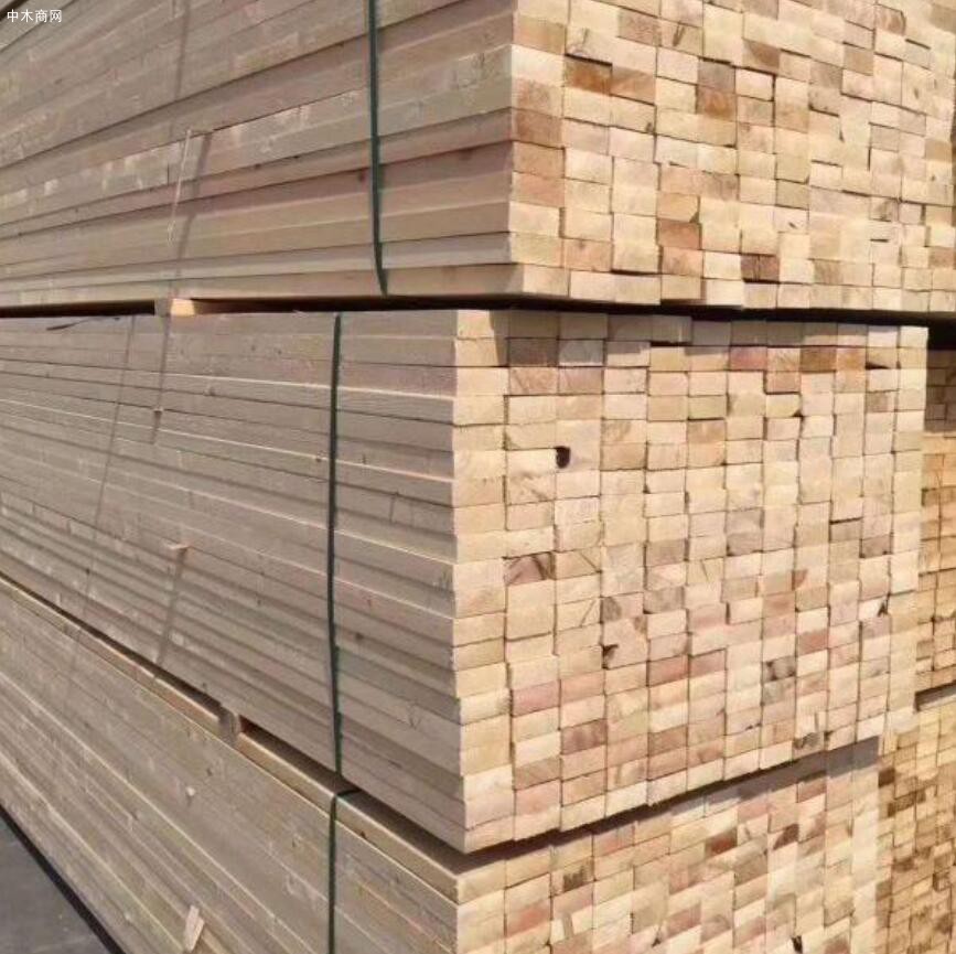 太仓建筑木方的品牌采购