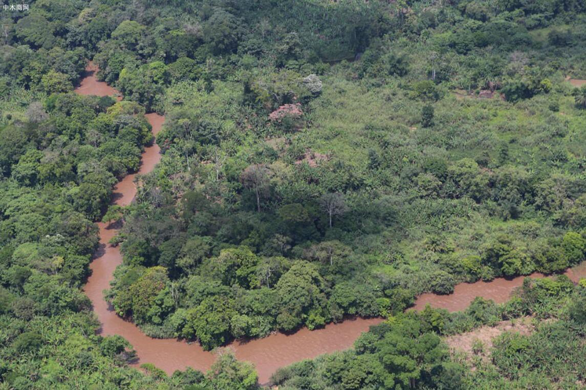 中部非洲森林观察站创建区域森林生态系统分析平台