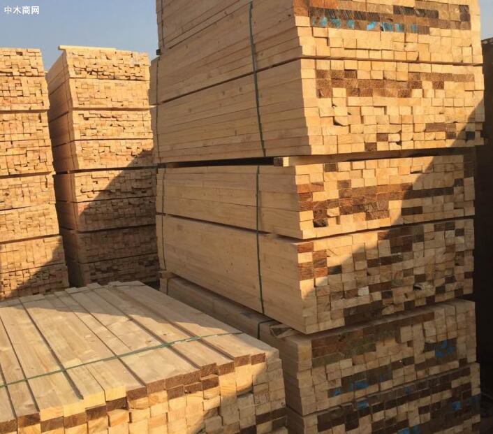 创秋木业采购一批新鲜原木,后续木方价钱持续上涨