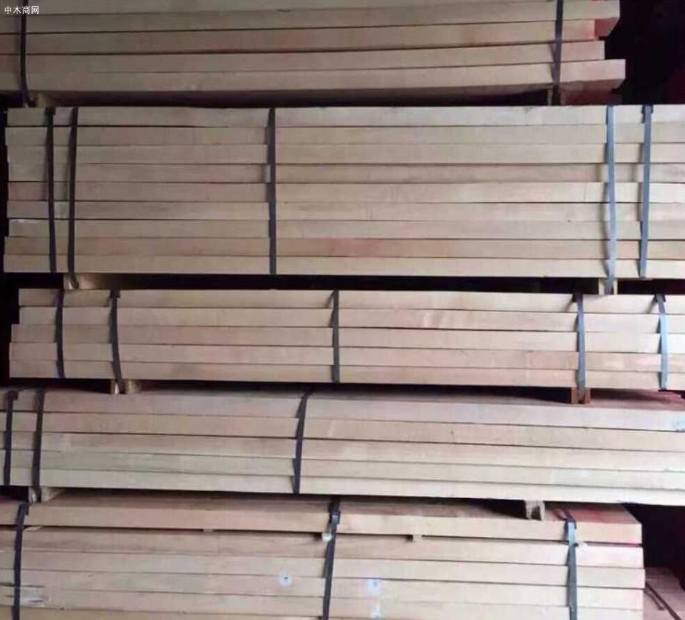 欧洲榉木板材批发