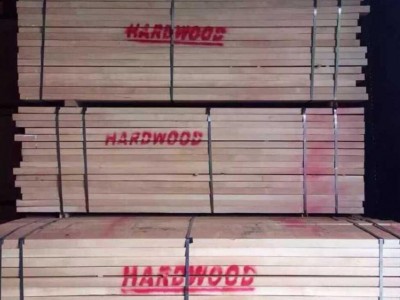 进口欧洲榉木板材厂家直销