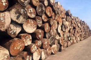 一季度欧亚木材市场需求将稳中有升