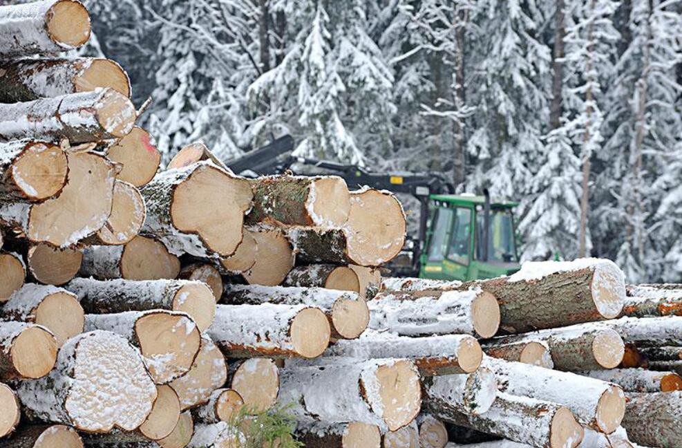 2020年瑞典原木价格跌破500克朗/立方米