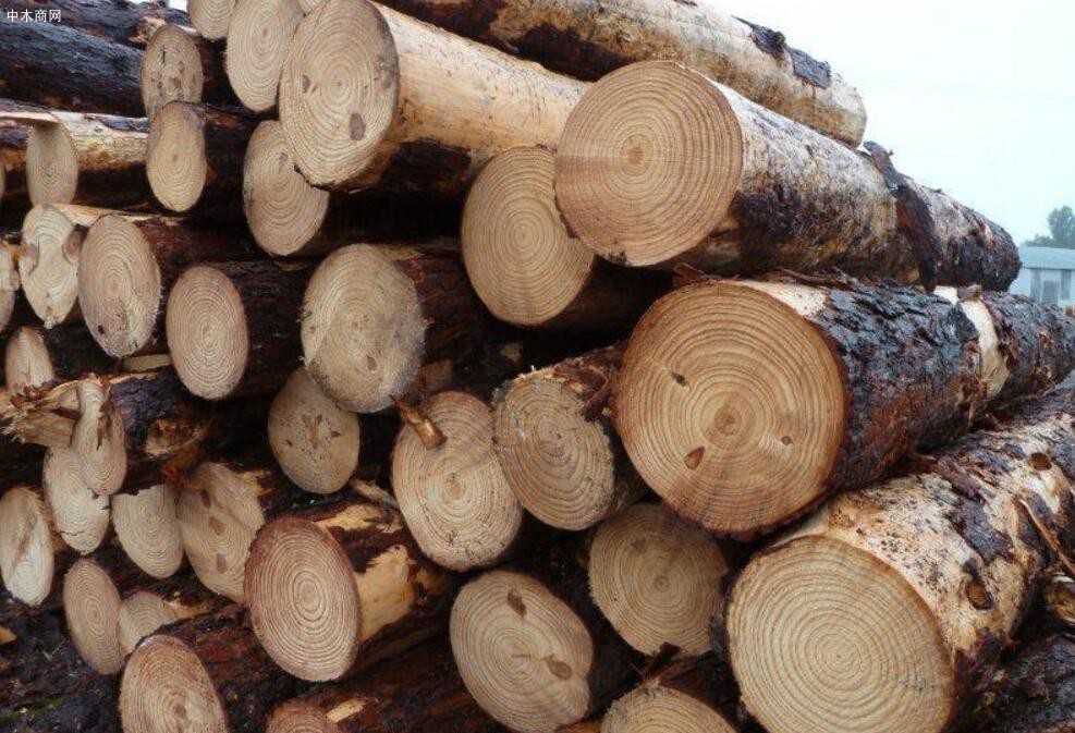 2020年中国木材进口量大幅下降