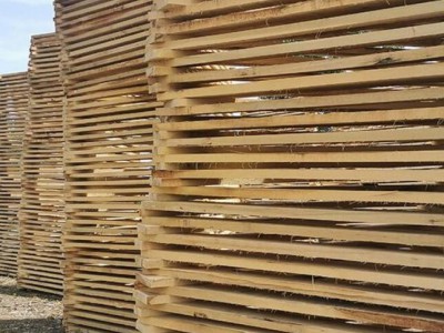 宜昌地区销售白杨木板材加工厂家图2