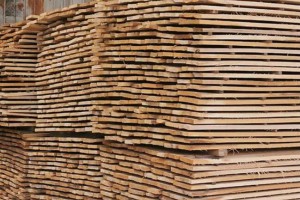 宜昌地区销售白杨木板材加工厂家