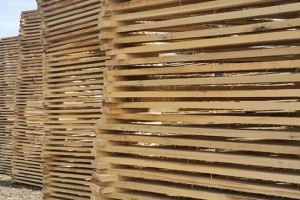 宜昌地区销售杨木板材木托盘包装料