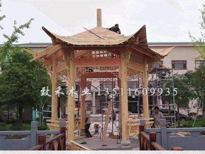 致禾花旗松木方实木板材木条美国红松户外地板立柱松木防腐木横梁图8