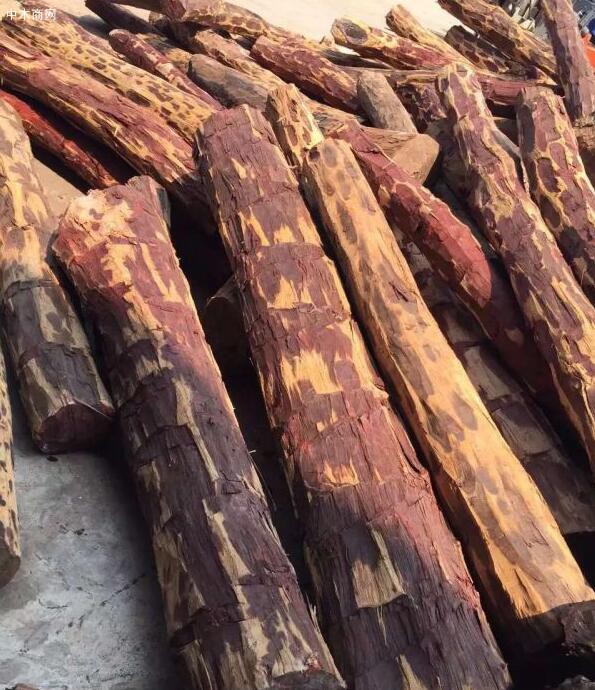 张家港创世木材国际贸易非洲赞比亚血檀染料紫檀原木图片厂家