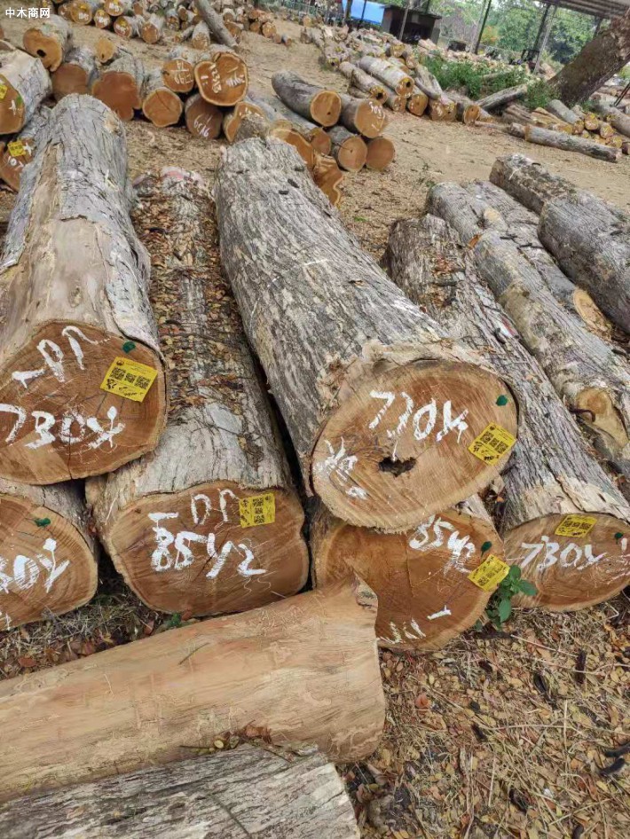 印度尼西亚出口森林制品在2020年好于预期