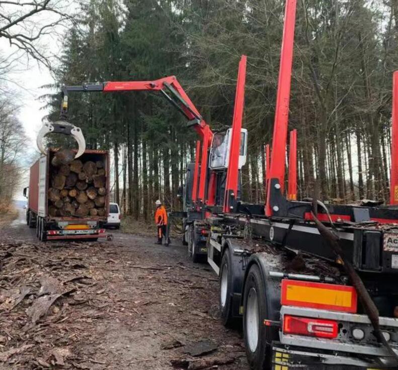 华南集运欧洲进口木材端到端业务顺利启动