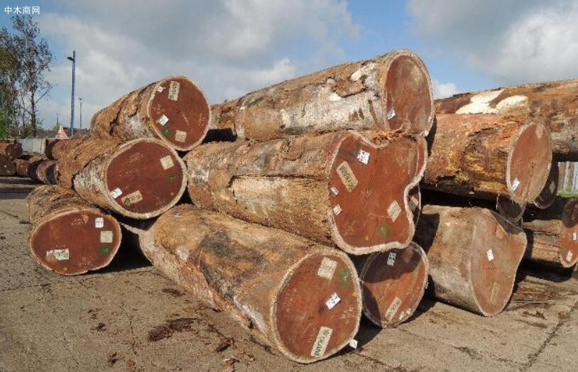 2021第一季度亚洲木材市场需求稳中有增