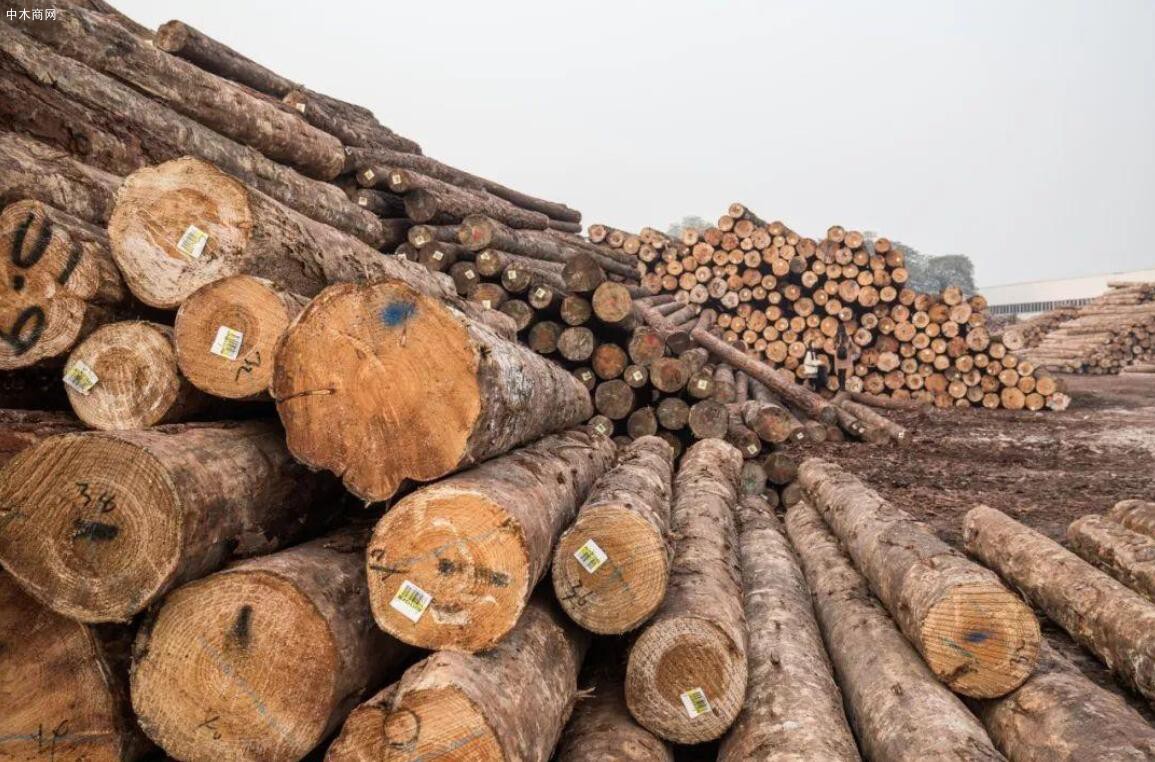 秀屿产业园区2020年实现木材进口量约150万立方米