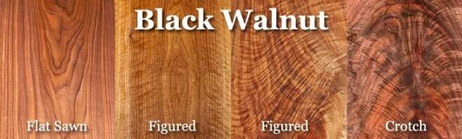 黑胡桃木已流行500年,如今仍是比较受欢迎的木材之一价格